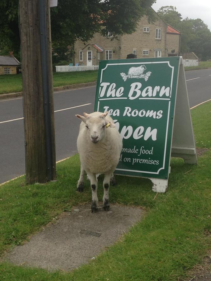 The Barn Guest House And Tearoom Hutton le Hole Exterior photo